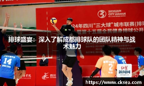 排球盛宴：深入了解成都排球队的团队精神与战术魅力